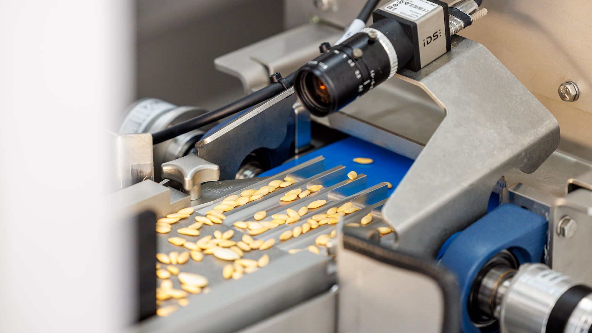 Masterphoto.nl_20250117-2N2A7607